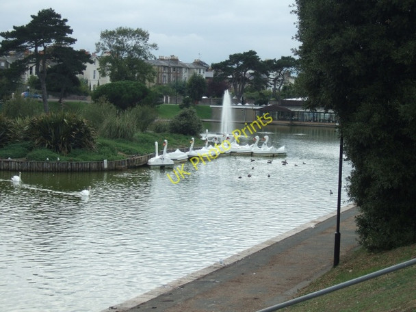 Photo 6"x4" Ryde boating lake, with pedal-powered swans Ryde c2010