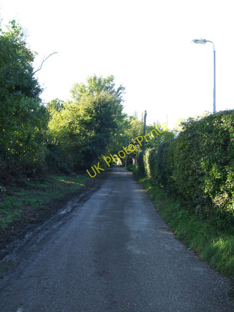 Photo 6"x4" Montefiore Avenue Hullbridge c2010