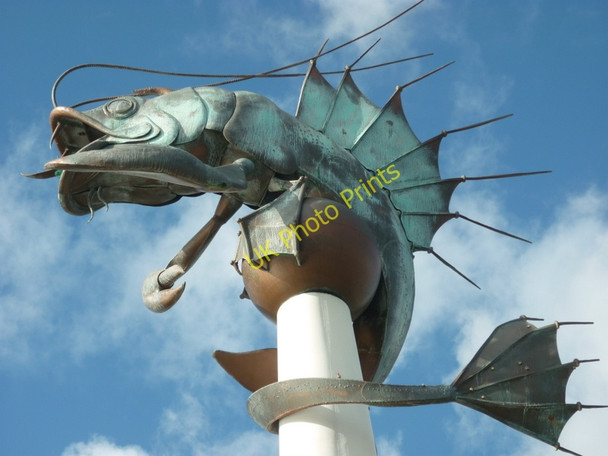 Photo 6"x4" The Barbican Prawn, Plymouth Mount Batten c2010