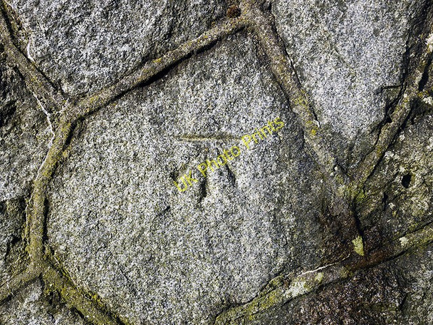 Photo 6"x4" Bench Mark, Spelga Dam Hilltown\/J2128 c2010