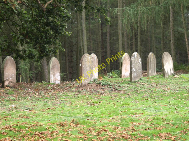 Photo 6"x4" Pet cemetery Old Warden c2010