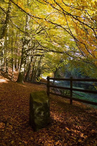 Photo 6"x4" Ryburn Reservoir woods Pike End c2010