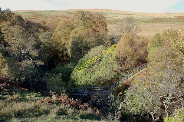 Photo 6"x4" Southern Upland Way crossing Hawkshaw Cleuch Dryhope c2010