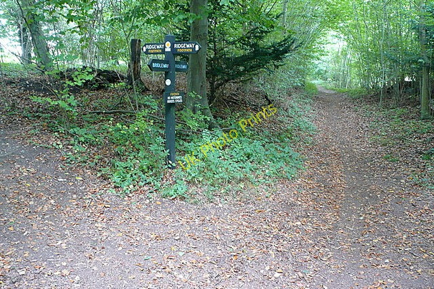 Photo 6"x4" Path junction in the woods Huntercombe End c2010
