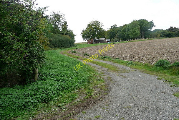 Photo 6"x4" Off the Chiltern Way Nuffield c2010