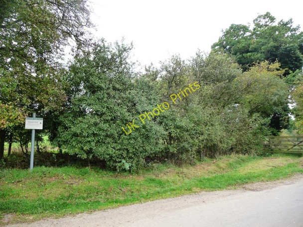 Photo 6"x4" Roadside nature reserve Pickworth\/SK9913 c2010