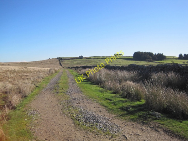 Photo 6"x4" Track towards North Church Lands Catton\/NY8257 c2010