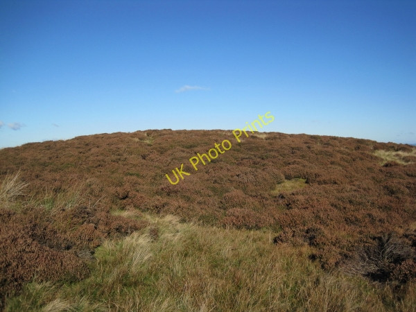 Photo 6"x4" Rebel Hill Catton\/NY8257 c2010