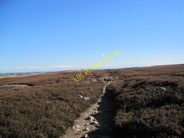 Photo 6"x4" Bridleway towards Greenrigg Moor Catton\/NY8257 c2010