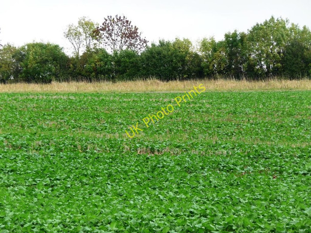 Photo 6"x4" Shades of green Pickworth\/SK9913 c2010