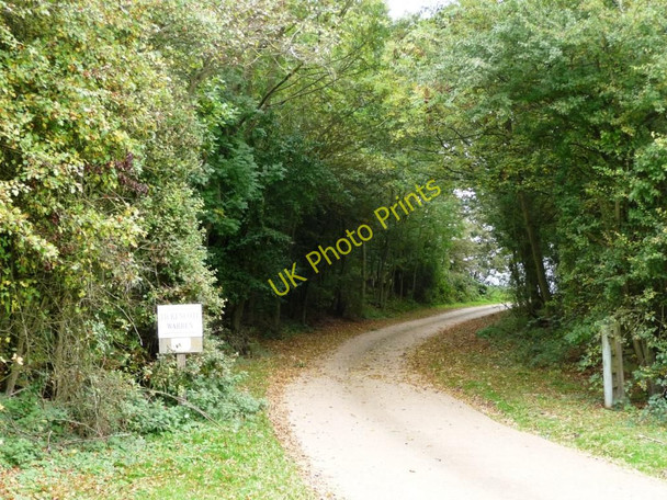 Photo 6"x4" The drive to Tickencote Warren Tickencote c2010