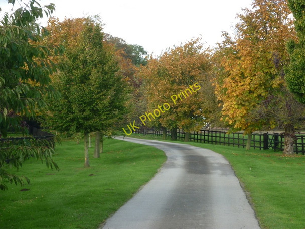 Photo 6"x4" The way to Tickton Hall Beverley c2010