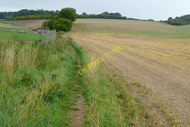 Photo 6"x4" Bridleway to Ewelme Park Nuffield c2010