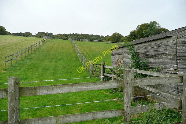 Photo 6"x4" Paddock near Ewelme Nuffield c2010