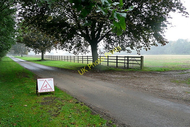 Photo 6"x4" Ewelme Park estate road Cookley Green\/SU6990 c2010 P1