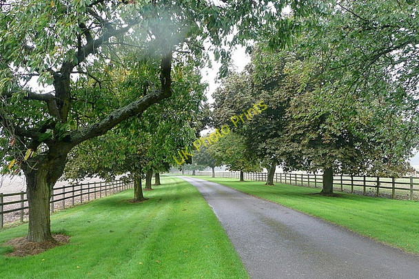 Photo 6"x4" Ewelme Park estate road Cookley Green\/SU6990 c2010
