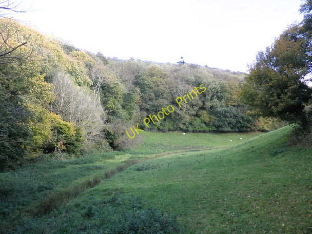 Photo 6"x4" Knowle Brake Cowbridge\/SS9542 c2010