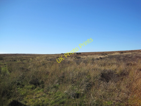 Photo 6"x4" Grouse Butts near Bulman's Rigg Catton\/NY8257 c2010