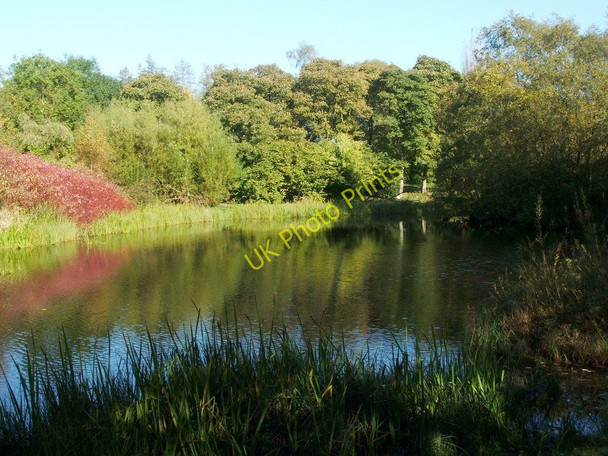 Photo 6"x4" Belmont Pond Springburn\/NS6068 c2010