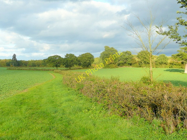 Photo 6"x4" View to Little Bulley Wood Bulley c2010