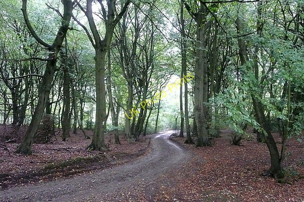 Photo 6"x4" Track to Magpies Catslip c2010