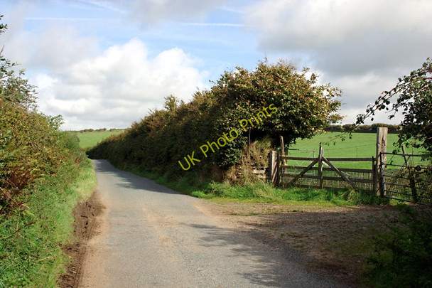 Photo 6"x4" Croscombe Lane Martinhoe Cross c2010