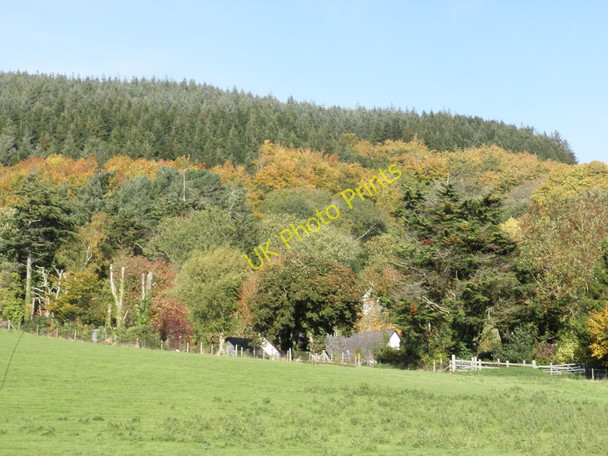 Photo 6"x4" Knowle Hill Cowbridge\/SS9542 c2010