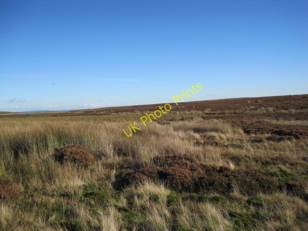 Photo 6"x4" Moorland near Lough Hill Allendale Town c2010