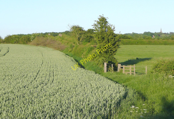 Photo 6"x4" Barley field and footpath  near Market Bosworth, Leicestershire Market Bosworth c2010