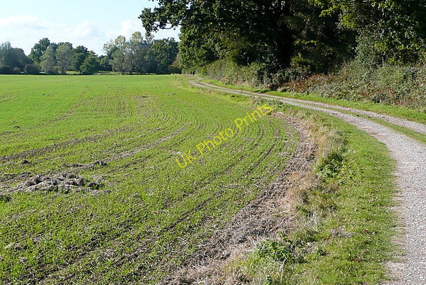 Photo 6"x4" Track towards Bodiam Castle Bodiam c2010