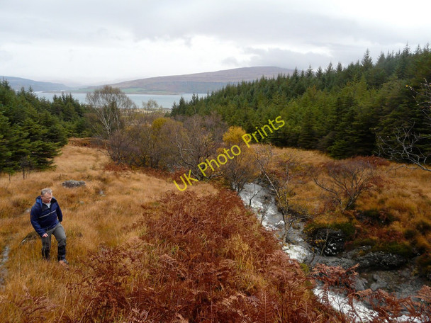 Photo 6"x4" Forestry clearing at Allt Achadh na M\u00c3\u00b2ine Allt Achadh na M\u00f2ine c2010