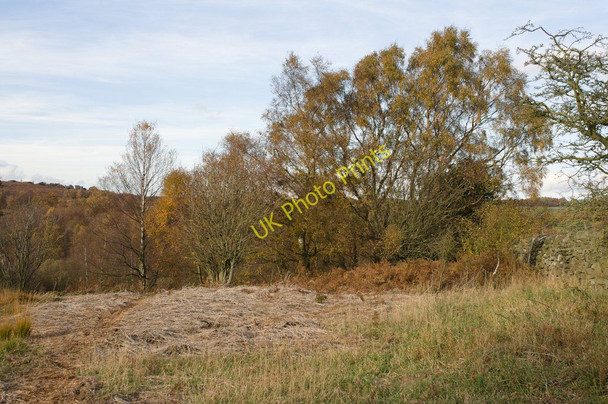 Photo 6"x4" Footpath, Brimham Moor Warsill c2010