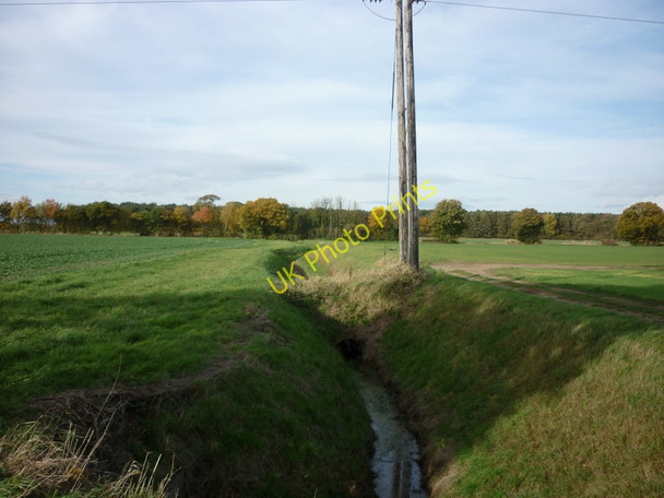 Photo 6"x4" Looking towards the woods near Kelfield Grange Kelfield\/SE5938 c2010