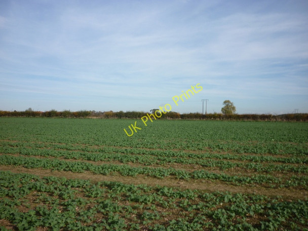 Photo 6"x4" Yes the public right of way does cross this field Stillingfleet c2010