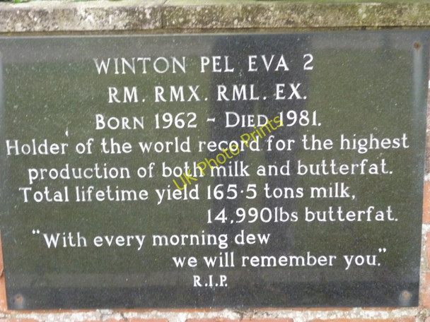 Photo 6"x4" A memorial to a cow! Kilnwick Percy c2010