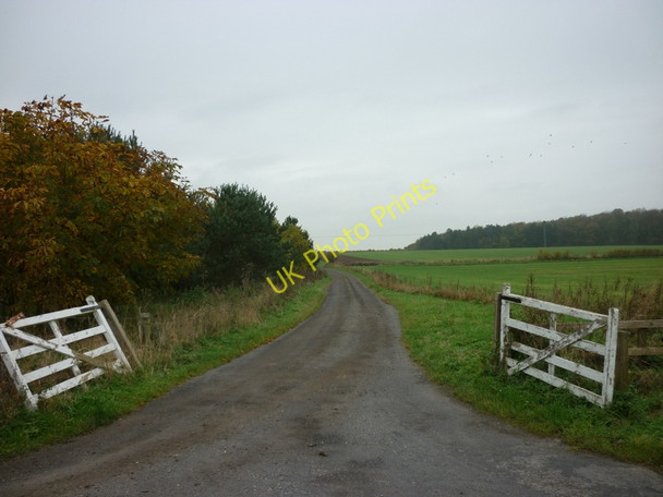 Photo 6"x4" A track to Kilnwick Percy Wood Burnby c2010
