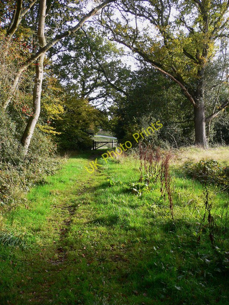 Photo 6"x4" Footpath on Ranmore Common Ranmore Common\/TQ1450 c2010