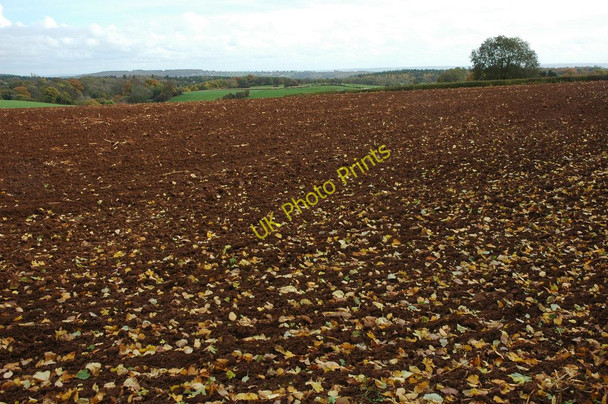 Photo 6"x4" Arable land near Longley Farm Trow Green c2010