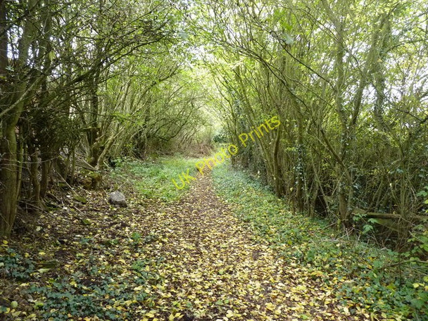Photo 6"x4" Bridleway behind Old Park Farm Benthall\/SJ6602 c2010