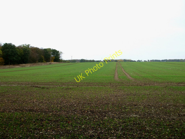 Photo 6"x4" Footpath 61 East Horndon c2010
