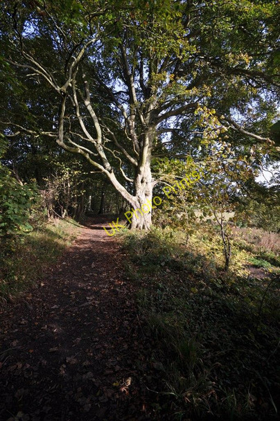 Photo 6"x4" The footpath from Fremington to the quay Fremington\/SS5132 c2010