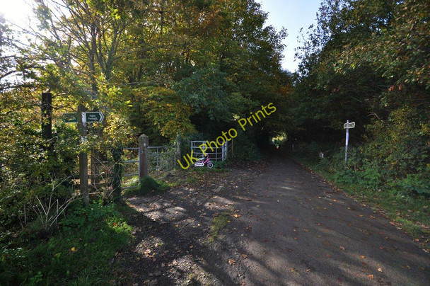 Photo 6"x4" The Tarka Trail near Fremington Quay Fremington\/SS5132 c2010