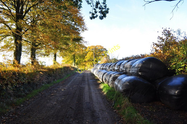 Photo 6"x4" A track which leads to Bourne Park Meshaw c2010