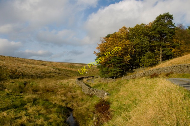 Photo 6"x4" Langber Lane and Plantation Long Preston c2010