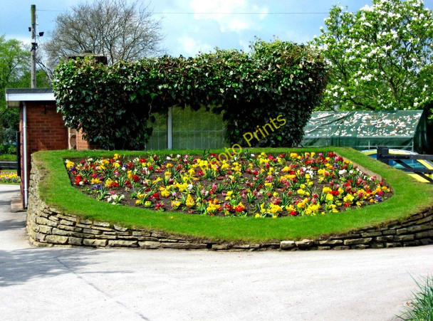 Photo 6"x4" Victoria Park (4) - Flowerbed Stafford c2010