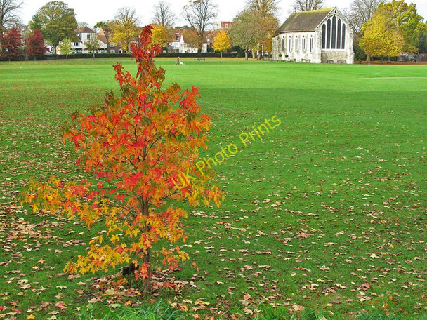 Photo 6"x4" Priory Park Chichester Chichester c2010