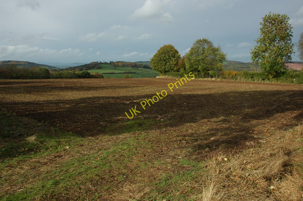 Photo 6"x4" Arable land near Newland Newland\/SO5509 c2010