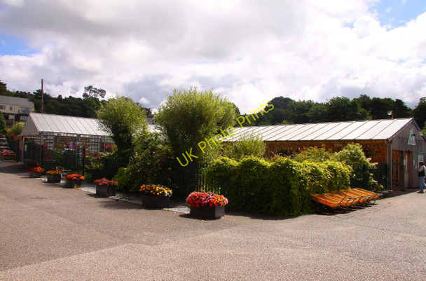 Photo 6"x4" Snowdonia Garden Centre Bryn-rhys c2010