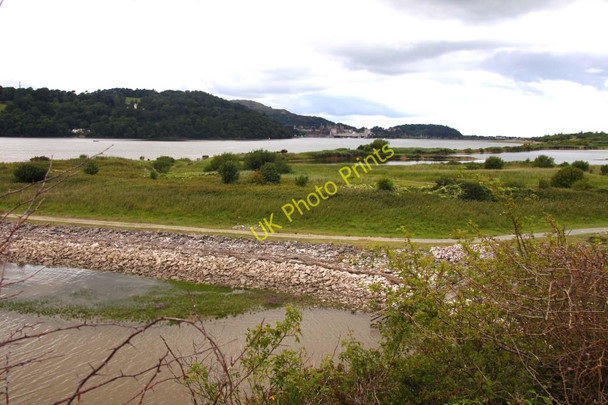 Photo 6"x4" Conwy Nature Reserve Bryn-rhys c2010