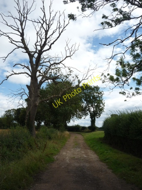 Photo 6"x4" Sandy Lane Alne c2010